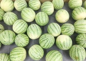 实时真实吃瓜,揭秘网红直播间的真实“吃瓜”现场  第3张